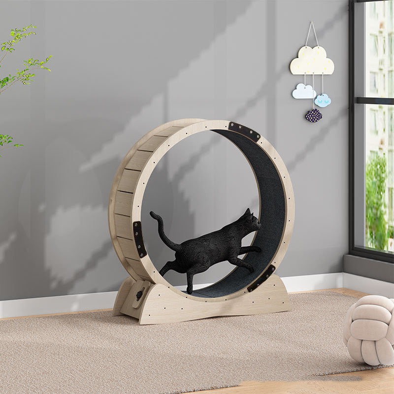 Cat Silent Exercise Wheel – Luxury Pet Treadmill for Fitness & Play