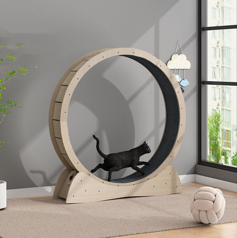 Cat Silent Exercise Wheel – Luxury Pet Treadmill for Fitness & Play